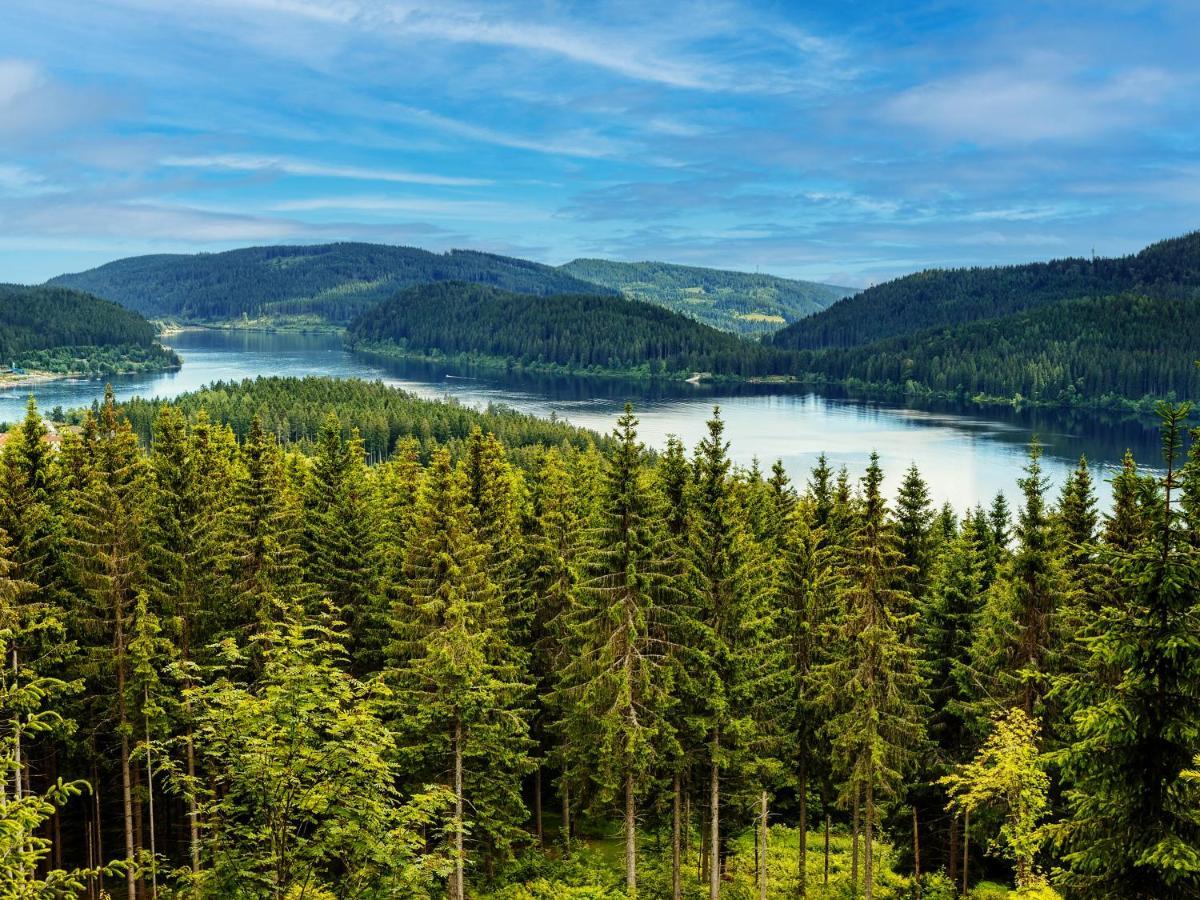 Black Forest Luxury Apartment Waldglueck Mit Sauna Königsfeld im Schwarzwald المظهر الخارجي الصورة